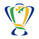 Кубок Бразилии