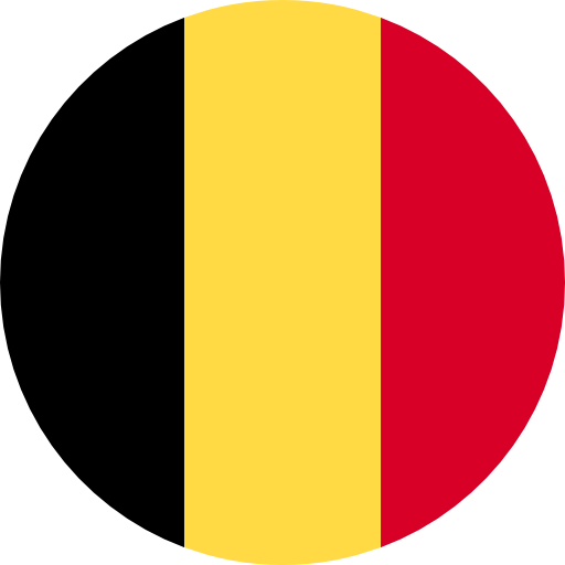 Бельгия (U-17)