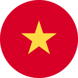 Вьетнам (U-17)