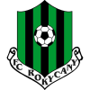 Рокичани
